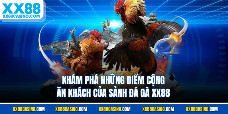 Khám phá những điểm cộng ăn khách của sảnh đá gà XX88